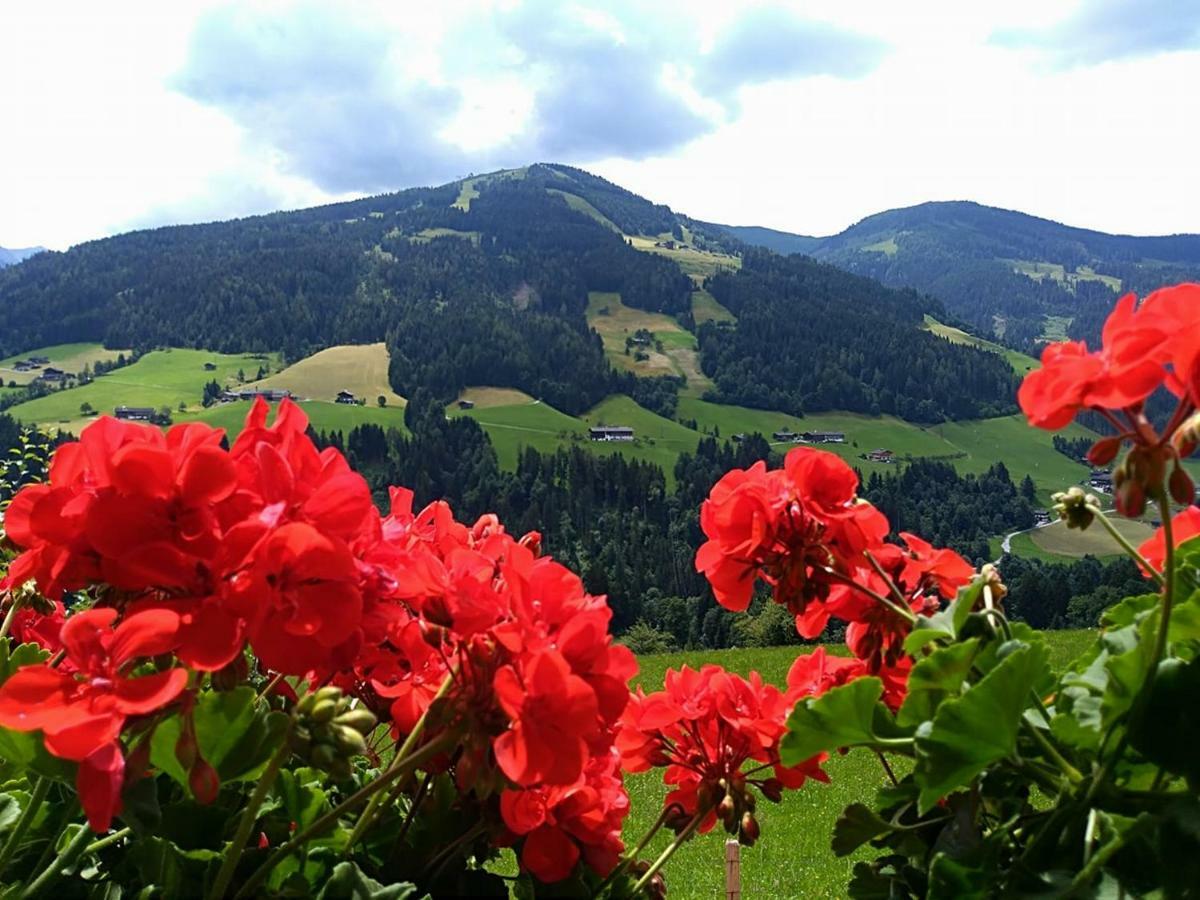 Aussermooserhof Alpbach Kültér fotó