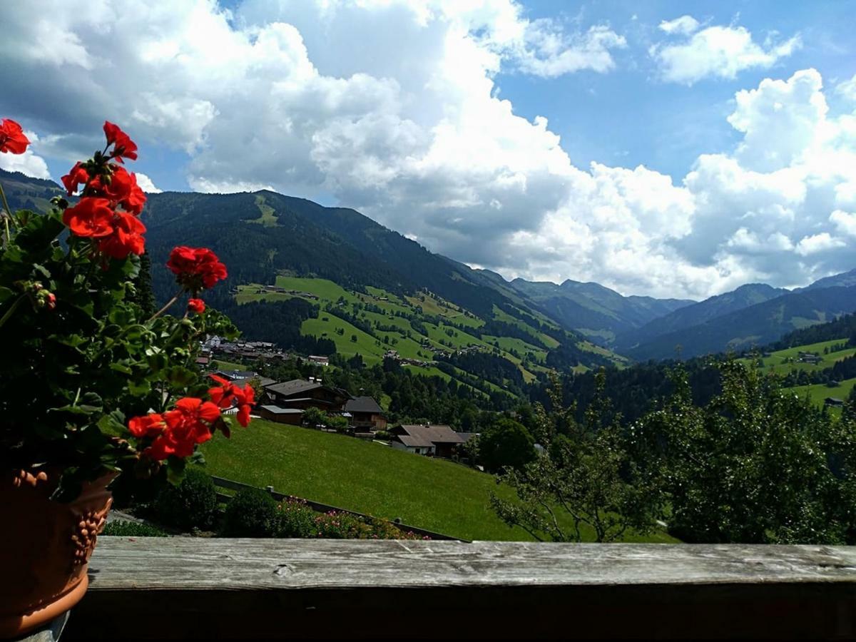 Aussermooserhof Alpbach Kültér fotó